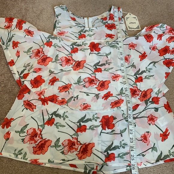 NWT Women’s Sheer Rose Patterned Cold Shoulder Blouse - Picture 5 of 7